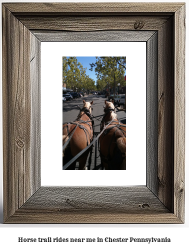 horse trail rides near me in Chester, Pennsylvania